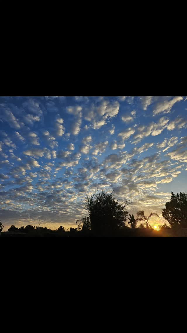 Happy Autumn.  #Mabon #autumnalequinox  #fluffthis #Gratitude
